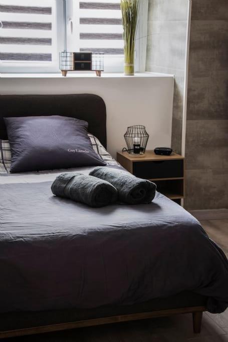 Apartament Les 4 Chenes - T2 Refait A Neuf Le Pont-de-Beauvoisin Zewnętrze zdjęcie
